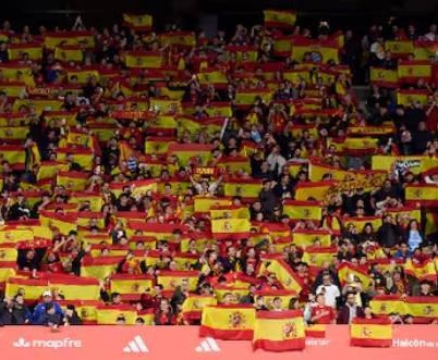 半岛体育-塞尔：加泰警方已开始调查西班牙vs埃及出现的种族歧视事件